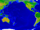 Pazifischer Ozean Vegetation 1600x1200